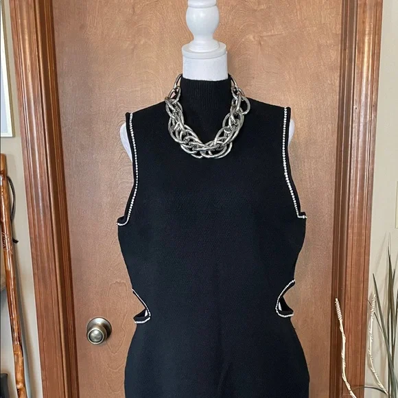Elegant Sleeveless, Sweater Maxi by Express - Picture 3 of 17